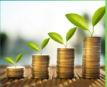 Financial literacy